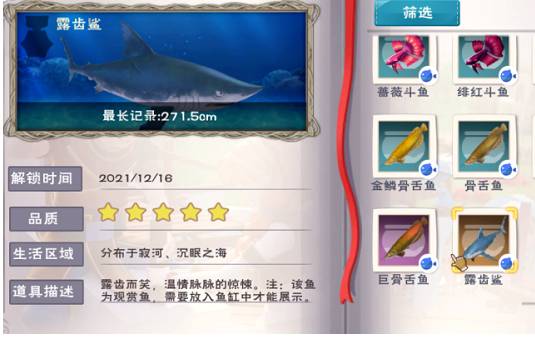 露尺鲨