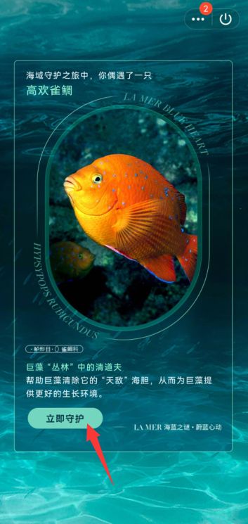QQ守护海洋生物参与教程