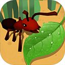蚂蚁进化3d最新版 图标