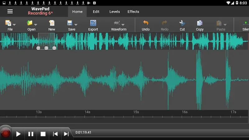 WavePad Master's Edition 1