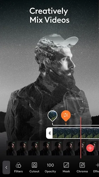 Videoleap 3
