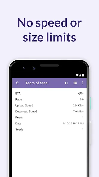BitTorrent 2