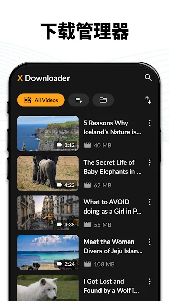 Video Downloader Video Downloader
