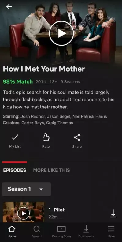 Netflix Premium Netflix Premium