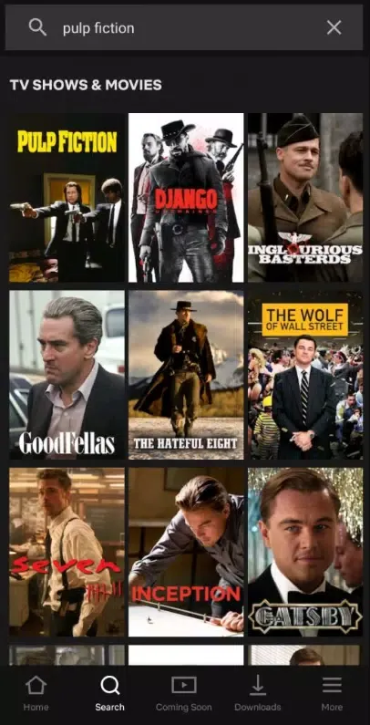 Netflix Premium Netflix Premium