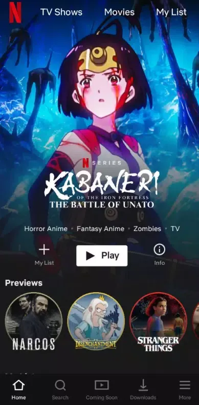 Netflix Premium Netflix Premium