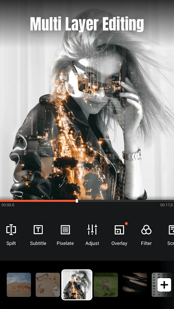 VideoShow 1