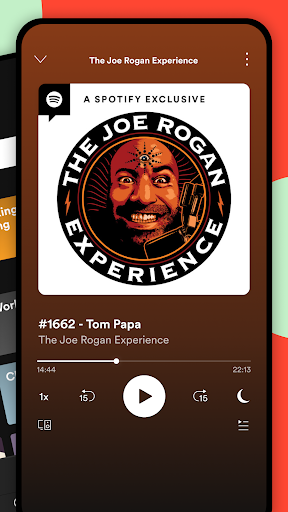 Spotify Premium 4