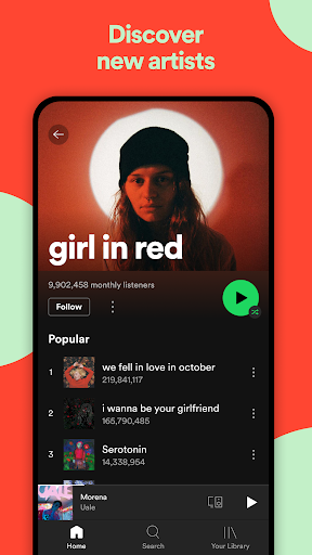 Spotify Premium 3