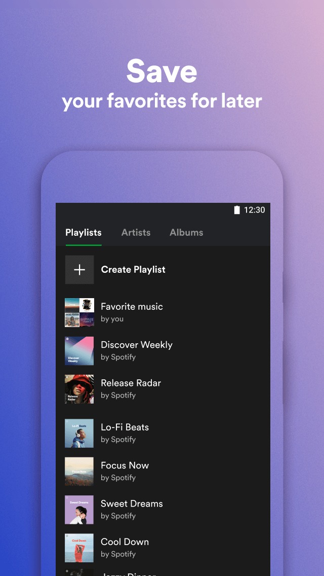 Spotify Lite 2