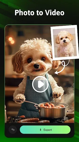 MVideo – Music Video Maker MVideo – Music Video Maker
