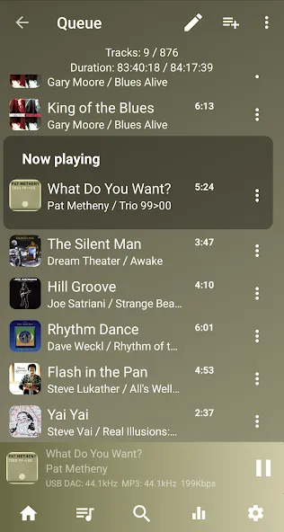 USB Audio Player PRO USB Audio Player PRO