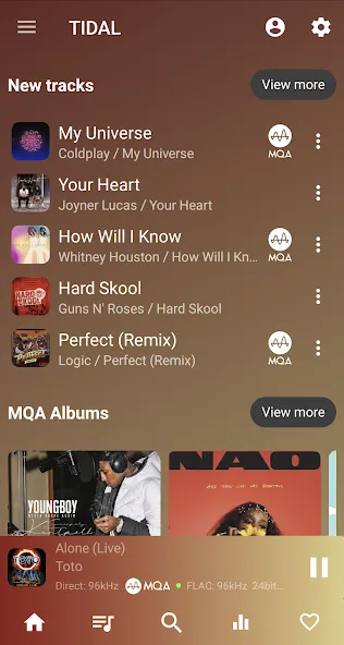 USB Audio Player PRO 2