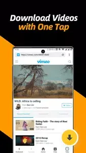Video Downloader 2