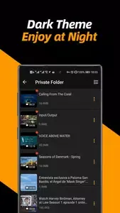 Video Downloader 4