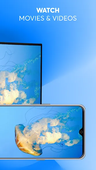 Screen Mirroring Z Screen Mirroring Z