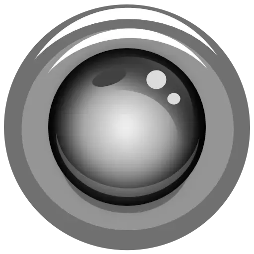 IP Webcam