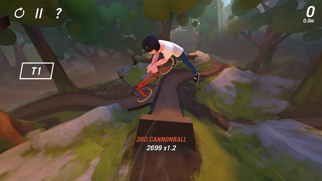Trail Boss BMX 4