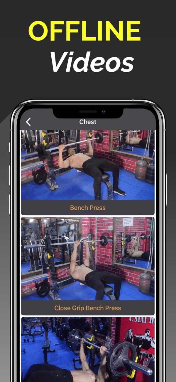 Pro Gym Workout Pro Gym Workout