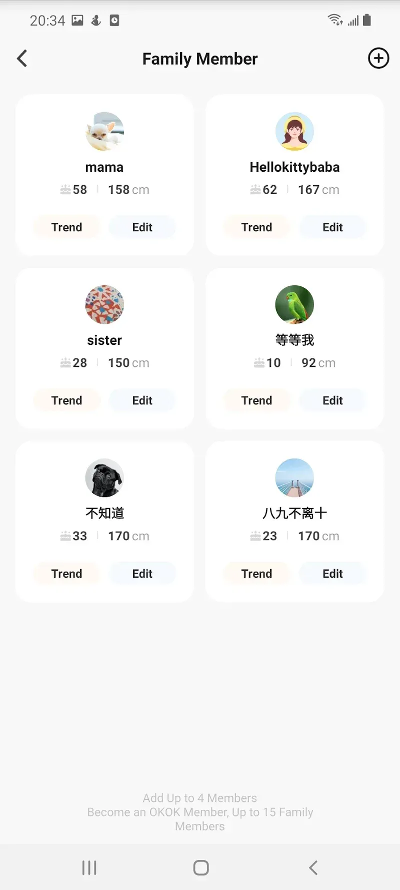 OKOK·International OKOK·International