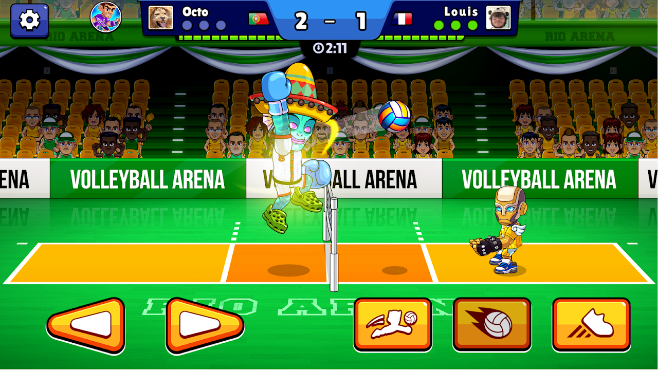 Volleyball Arena Volleyball Arena