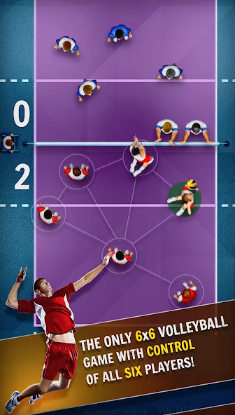Volleyball Championship Volleyball Championship