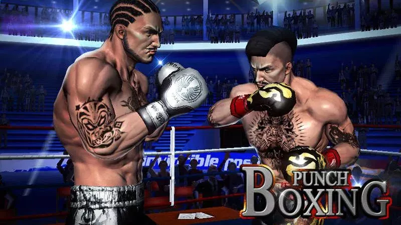 Punch Boxing 3D 1