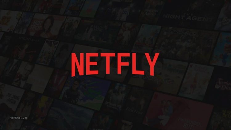 NETFLY 1