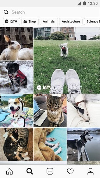 Instagram Aero Instagram Aero