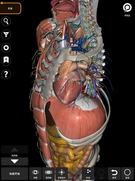 Anatomy 3D Atlas 3