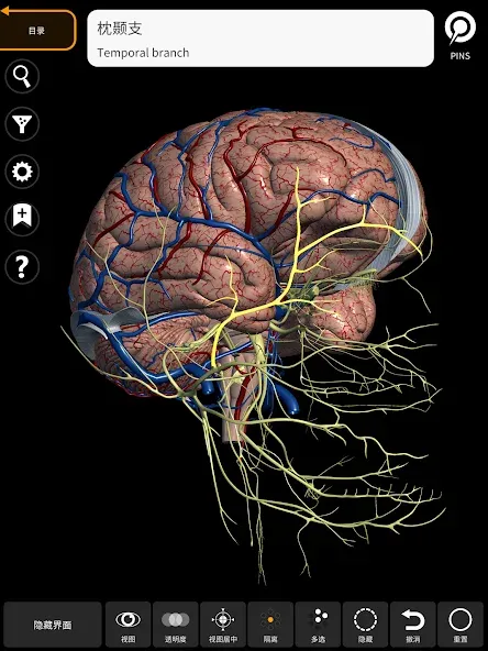 Anatomy 3D Atlas 2