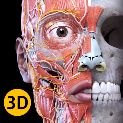 Anatomy 3D Atlas 1