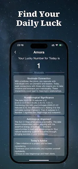 Amora 5