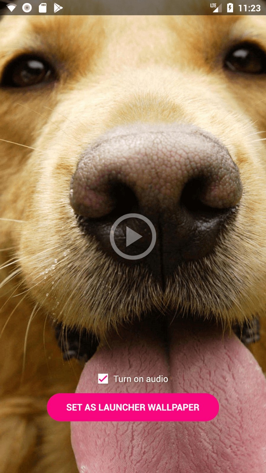 Video Live Wallpaper Maker 4