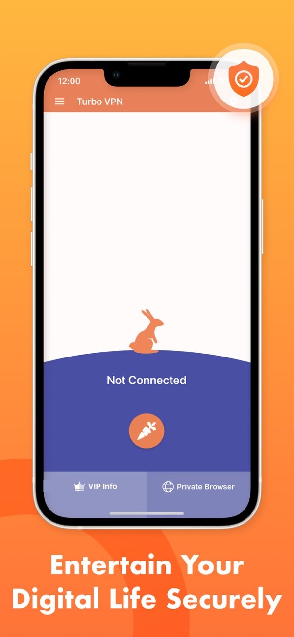 Turbo VPN Premium 4