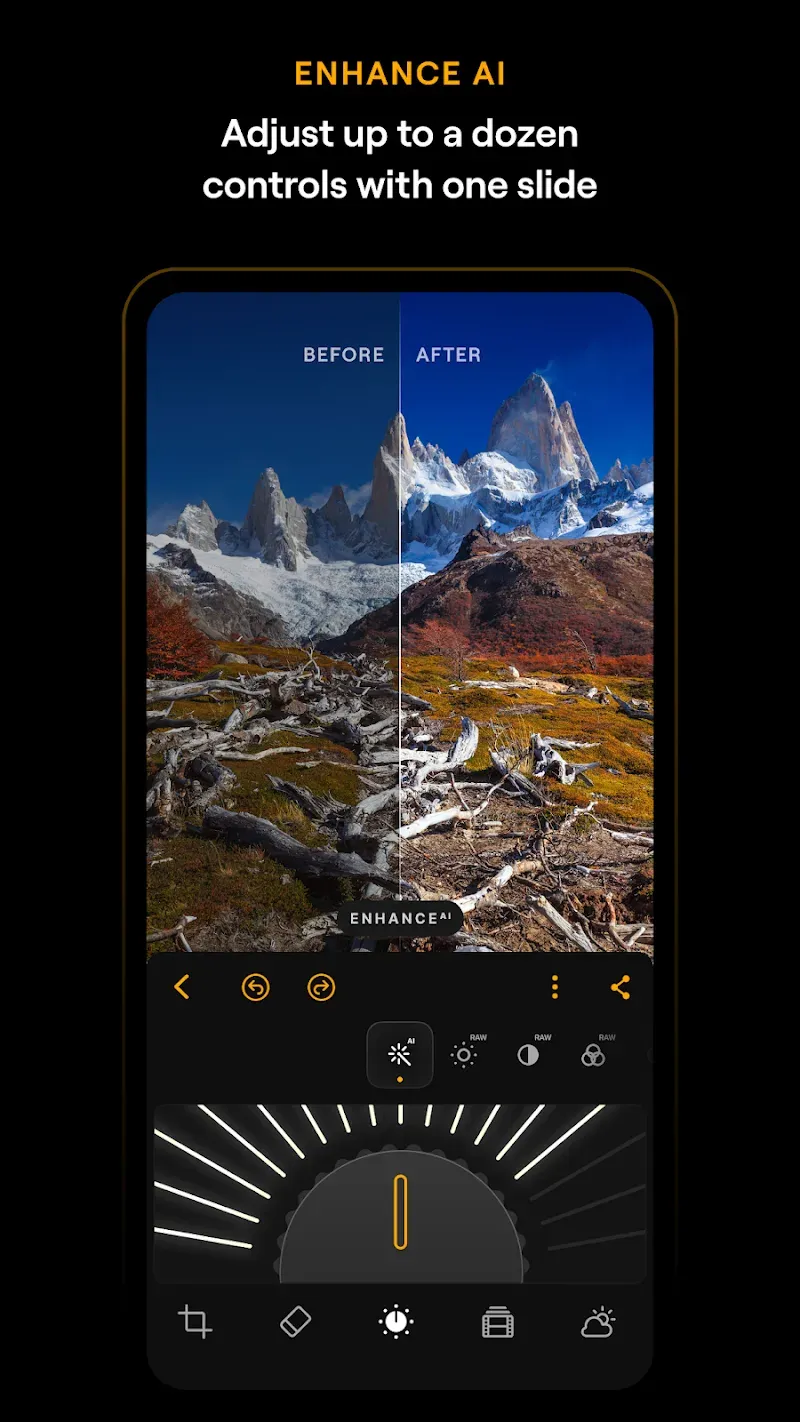 Luminar: Photo Editor 1