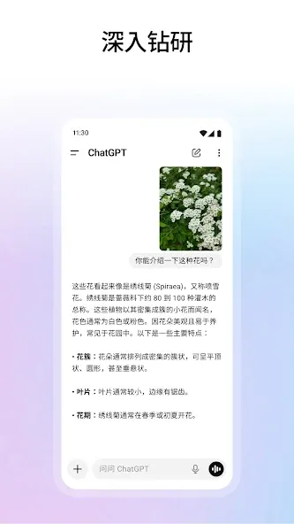 Chat with GPT AI 3