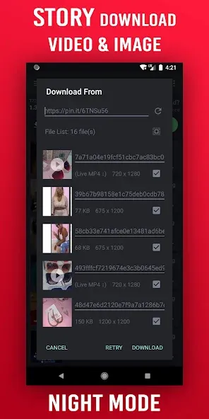Pinster Advanced Downloader 2
