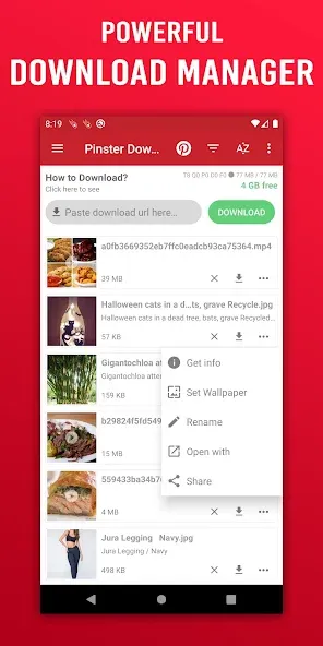 Pinster Advanced Downloader 4