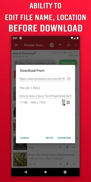 Pinster Advanced Downloader 5