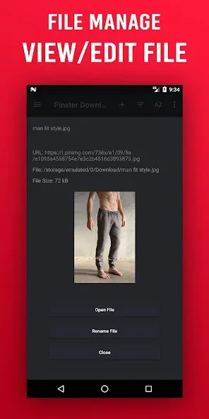 Pinster Advanced Downloader 6