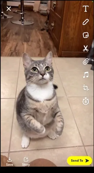 Snapchat Snapchat