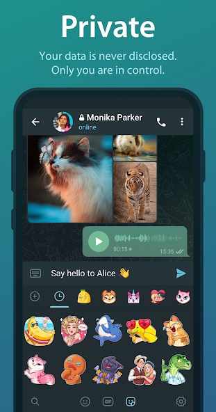 Telegram Premium Telegram Premium