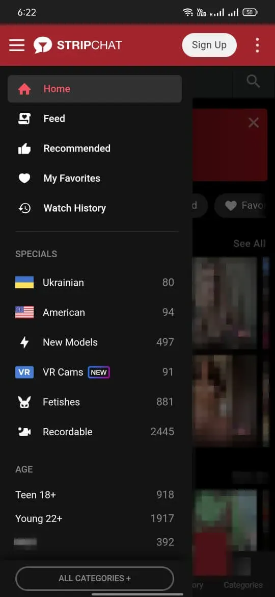 Stripchat 2