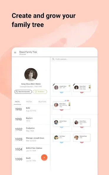 MyHeritage MyHeritage