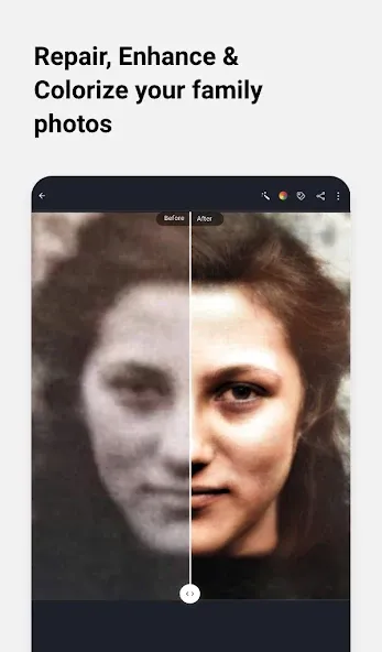 MyHeritage MyHeritage