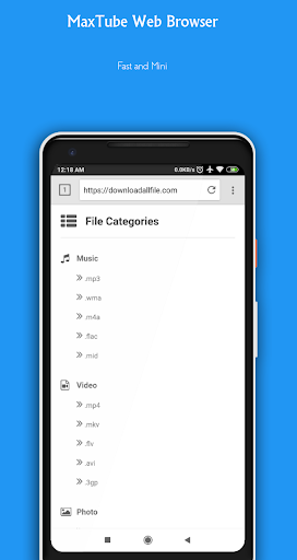 Mini Browser 5