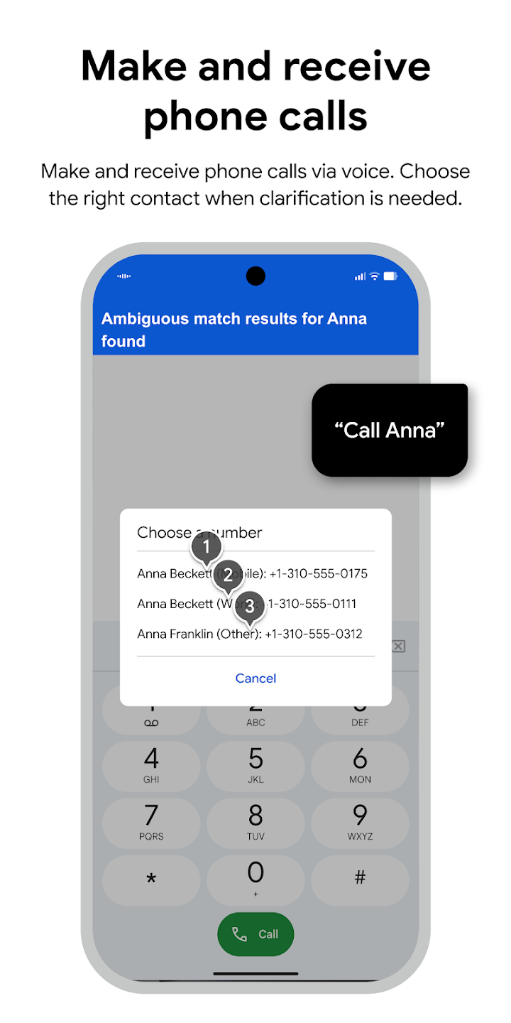 Voice Access 1