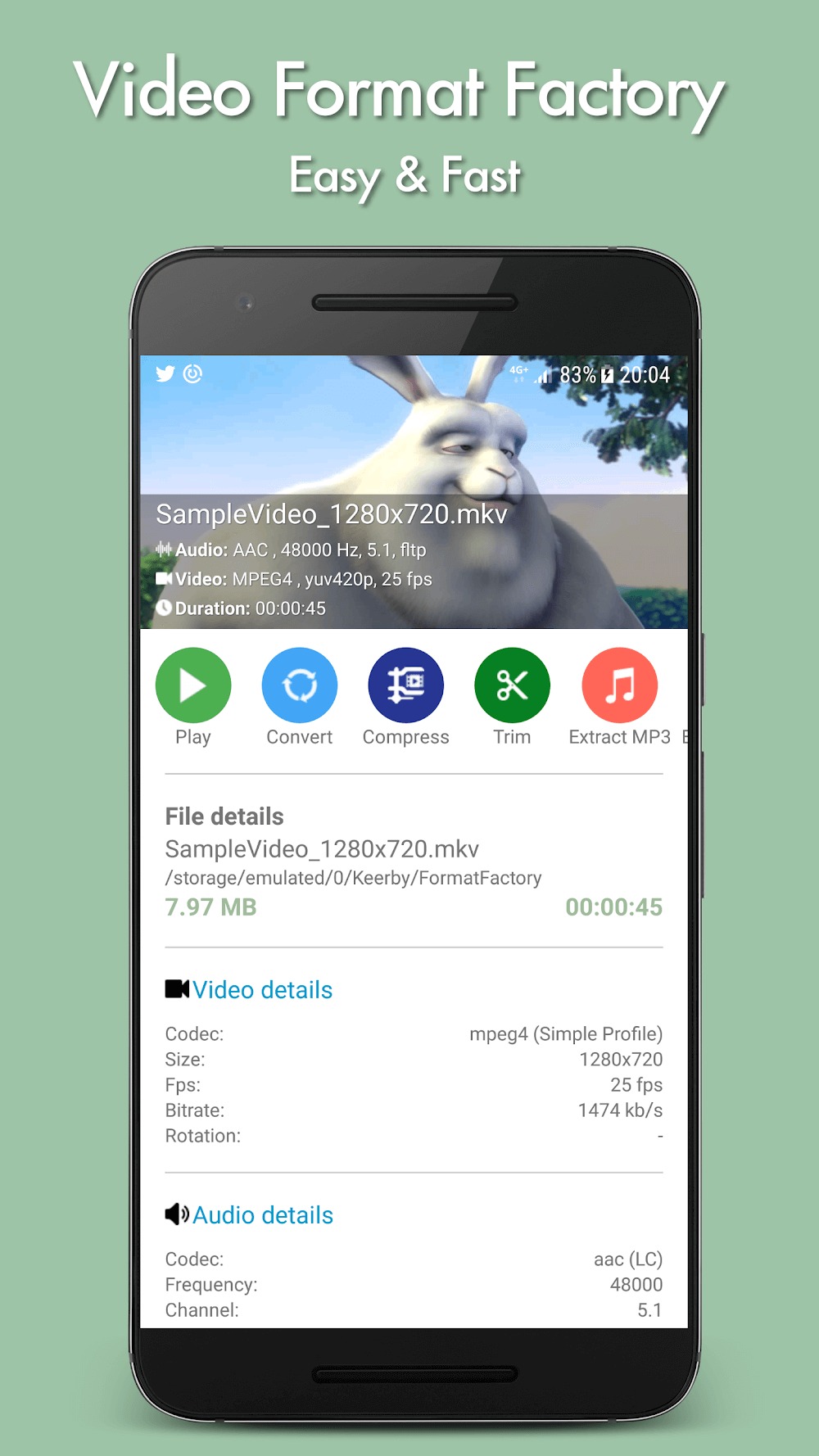 Video Format Factory Video Format Factory