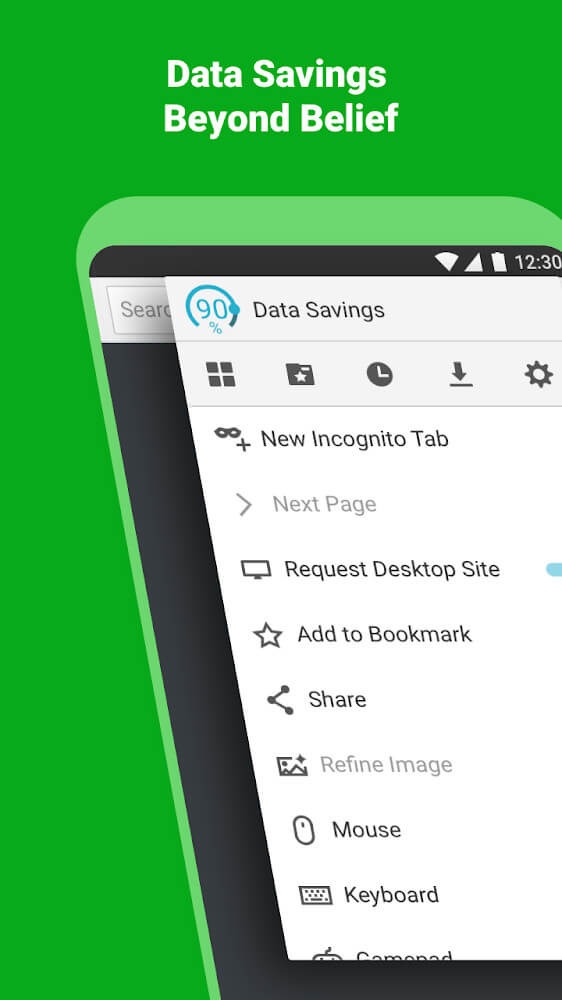 Puffin Browser Pro 3